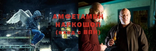 прущие грибы Михайлов