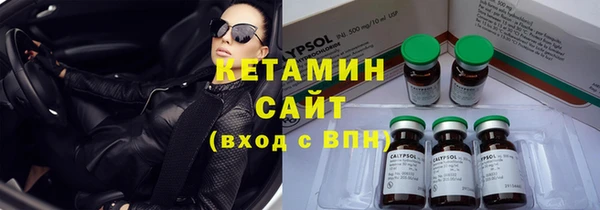 прущие грибы Михайлов