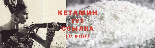 прущие грибы Михайлов