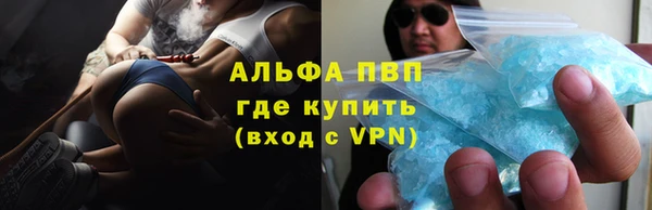 прущие грибы Михайлов