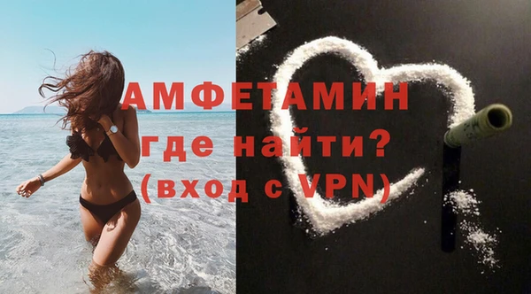 прущие грибы Михайлов