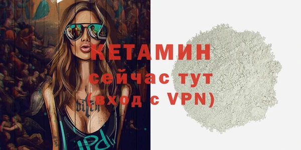 прущие грибы Михайлов