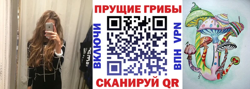 Псилоцибиновые грибы GOLDEN TEACHER  Мирный 